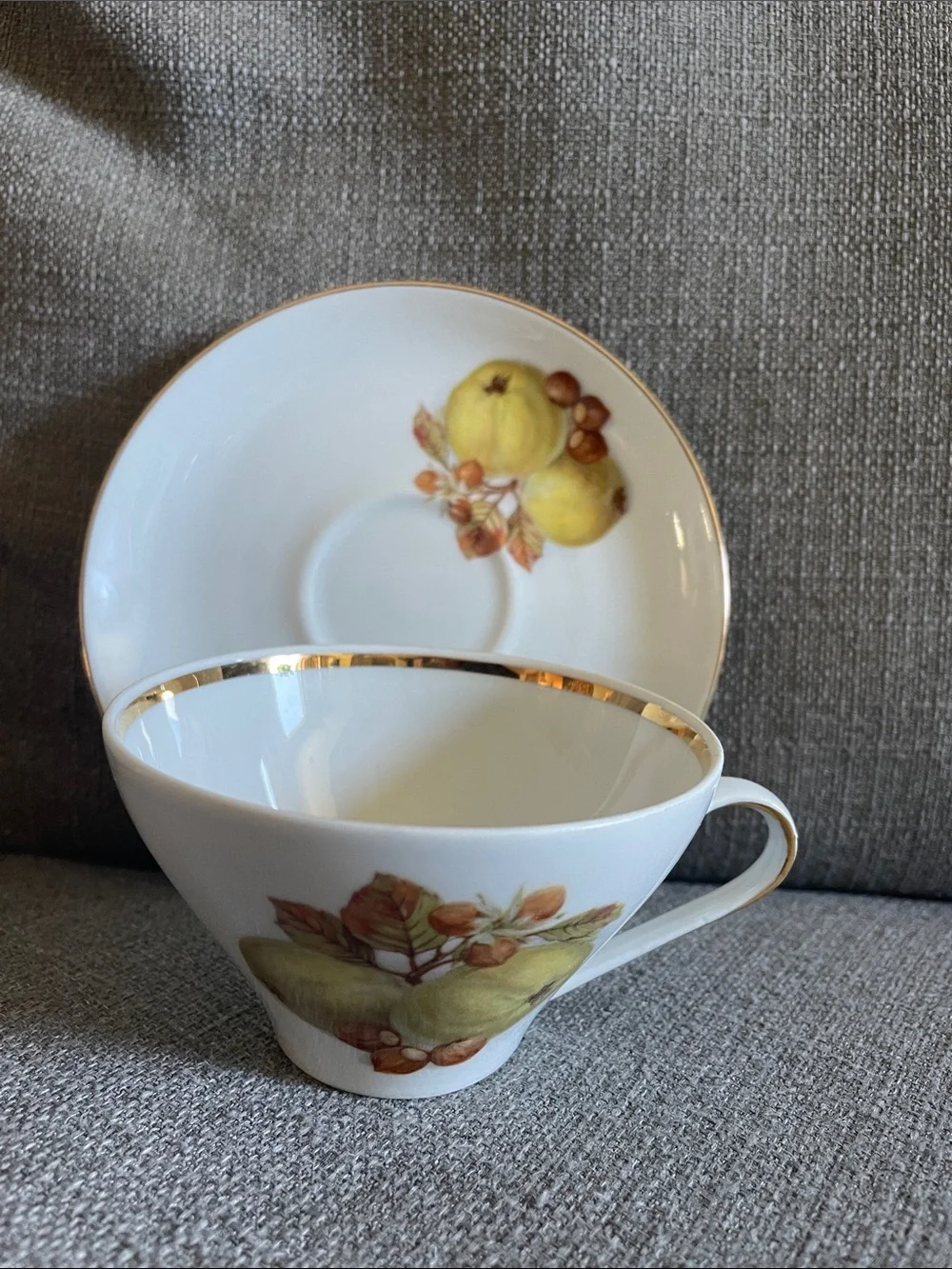 Bareuther Waldsassen Bavarian  Teacup and Saucer Set Fruit design and Gold Trim